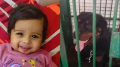 ચાર માસની બાળકીનું કૂતરાના હુમલામાં મૃત્યુ થયું હતું