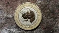 Raacha xiqqoo saantima irra teesse