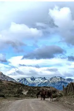 Cenário da Carretera Austral com cavalo