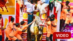 காணொளி: அலங்காநல்லூர் ஜல்லிக்கட்டில் சீறிய மாட்டை விடாமல் பிடித்த வீரர்