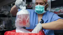 kidney 