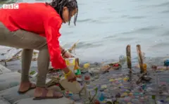 Arclaine arimo gukura imicafu mu kiyaga