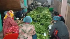 गुन्द्रुक