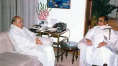 పీవీ నరసింహారావు, ఎన్టీఆర్