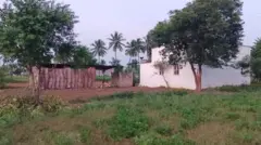 மயானத்துக்கு செல்ல சாலை வசதி இல்லை
