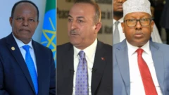 ሚኒስተራት ጉዳያት ወጻኢ፤ ኢትዮጵያ፡ ቱርኪን ሶማልያን
