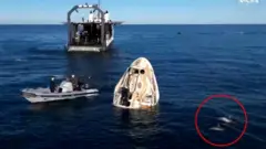 पानीमा अवतरण गरेको स्पेसएक्स क्रू ड्र्यागनको क्याप्स्यूल र नजिकै नासाको उद्धार 