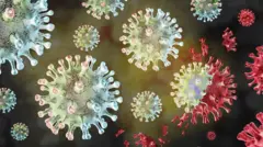 Вариант "Пирола" вызывает беспокойство у ученых, но пока серьезного ущерба здравоохранению в мире он не нанес