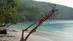 Praia deserta nas Ilhas Virgens Americanas