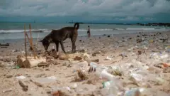 Cachorro preto fareja o solo em uma praia repleta de resíduos plásticos, com uma onda ao fundo