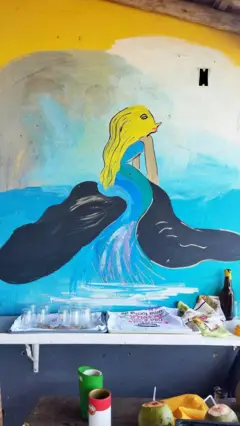 Sereia fotograda em parede de bar em Alcobaça, Bahia