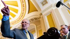 Chuck Schumer