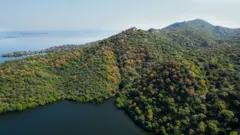 अरावली उत्तर भारत की ढाल है; क्योंकि यह हवा को थामती है, पानी को उतारती है और जीवन को जोड़ती है.