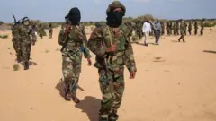 Hidhattoota Al Shabaab