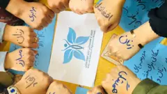 خشونت علیه زنان، مانند جرایم ناشی از نفرت، برای توصیف کلیه اعمال خشونت آمیز علیه زنان استفاده می‌شود
