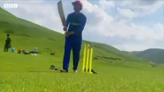کرېکټ