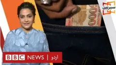 سیربین