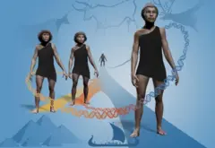 Ilustração que mostra os denisovanos, os neandertais e, à frente, os Homo sapiens.