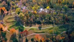 Vista aérea do Montículo da Serpente, rodeado por árvores