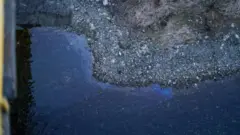 Берег реки с галькой и сухой растительностью. На поверхности воды заметен радужный след, похожий на плёнку от загрязнения (вероятно нефтяного происхождения).
