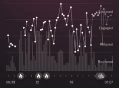 Cópia de tela mostrando as estatísticas do aplicativo de atividade física em um gráfico de linhas. No eixo vertical, os dizeres (em inglês): descansada, relaxada, ativa ou estressada.