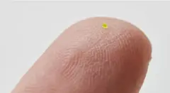 அறிவியல், அமெரிக்கா, பெண்கள்