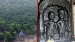 દેવરાઈ, ક્લાઇમેટ ચેન્જ સામે લડત, મહારાષ્ટ્રના સહ્યાદ્રીમાં જંગલો, દેવના નામે અનામત વન, હિમચાલપ્રદેશ આંધ્રપ્રદેશ કેરળ ઉત્તરાખંડમાં દેવરાઈ પરંપરા, મહારાષ્ટ્ર, પર્યાવરણ, બીબીસી ગુજરાતી