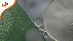 من ضمن هذه العلاجات استخدام مادة لزجة موجود داخل الجسم.