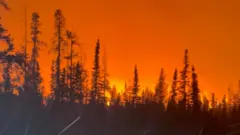 डढेलो प्रभावित क्षेत्र