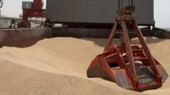 Qamadii Yukireen irraa ergame