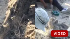 மனித புதைகுழிகள்