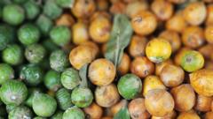 Mutanen da bai kamata su sha agwaluma ba