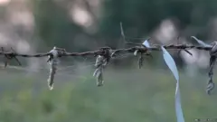 હાથરસ