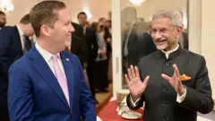 पैक्स सिलिका