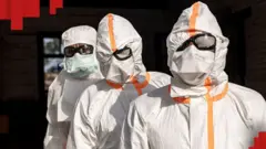 Ебола продовжує стрімко ширитися світом. Поки в Демократичній Республіці Конго кількість хворих зростає, підозри на небезпечний вірус уже з'явилися на іншому континенті - в Бразилії.