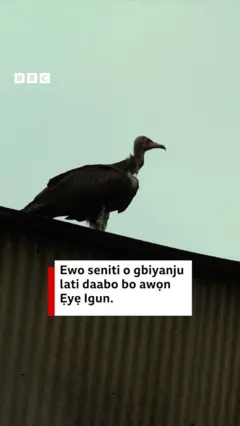 Ẹyẹ igun duro sori orule