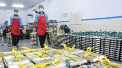 kampus-diminta-terlibat-aktif-bangun-dapur-mbg-bagi-bagi-proyek