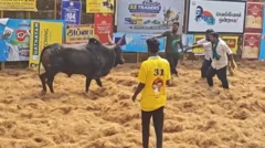 பாலமேடு ஜல்லிக்கட்டு