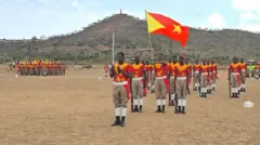 ኣባላት ሓይልታት ትግራይ