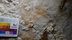 灰色の石の表面に、褐色の色がつき、かすかに手の指の形が見える