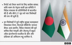 संसदीय समिति के विचार