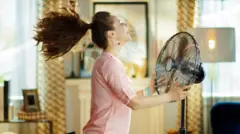 বৈদ্যুতিক পাখা