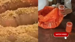 ગુજરાત