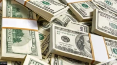 Labadan wiil ee walaalaha waxay MIT ku barteen xisaabta iyo sayniska kombiyuutarka, sida ku cad diiwaannada maxkamadda.