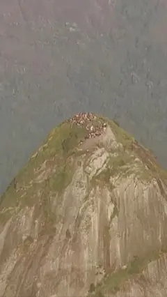 Vrh brda u Rio de Žaneiru