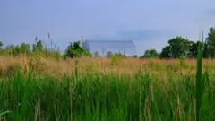 Um exuberante prado verdejante ladeado por árvores. Ao fundo, vê-se parte da usina nuclear de Chernobyl, coberta pela estrutura prateada de confinamento seguro.