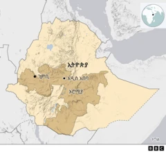 ካርታ