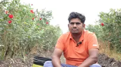 मनोज दिलवाले