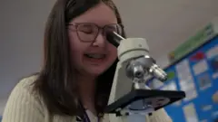 Alyssa in the microscope