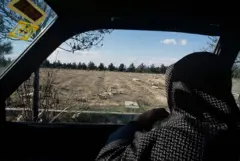 محل دفن شماری از مخالفان حکومت ایران در بهشت زهرا که فاقد سنگ قبر هستند